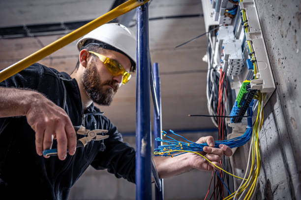 Best Electric Panel Repair  in Monticello, IL