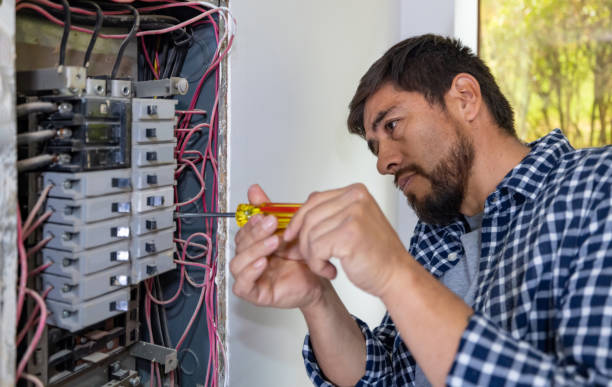Best Electrical System Inspection  in Monticello, IL